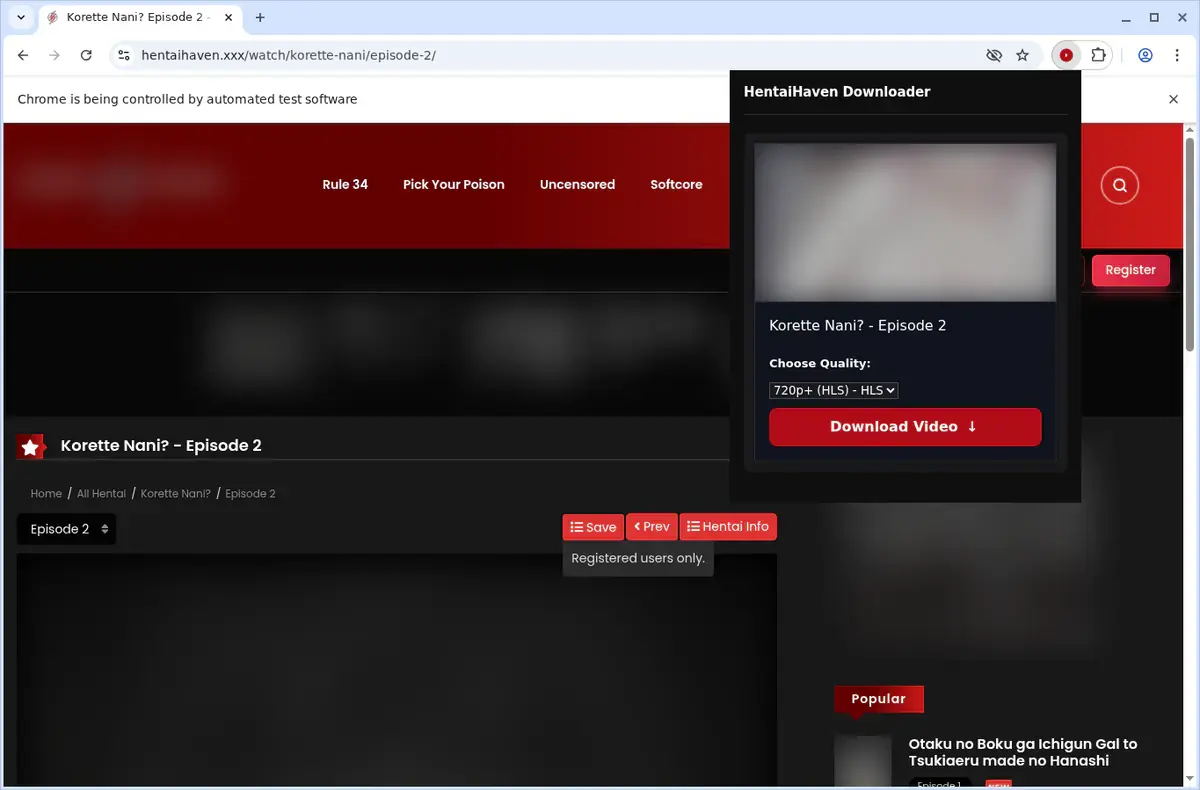 HentaiHaven Video Downloader showing detected media ready to download
