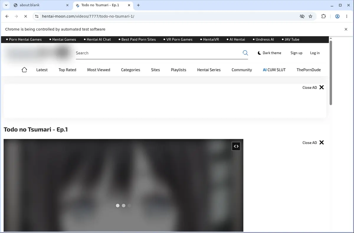 Hentai Moon Video Downloader page open in the browser