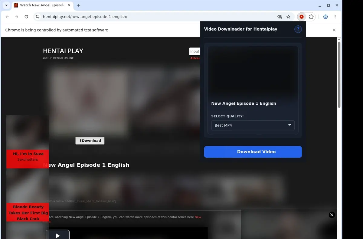 HentaiPlay Video Downloader showing detected media ready to download