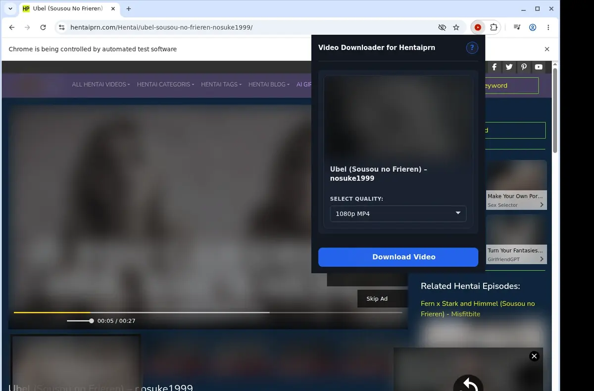 HentaiPRN Video Downloader showing detected media ready to download