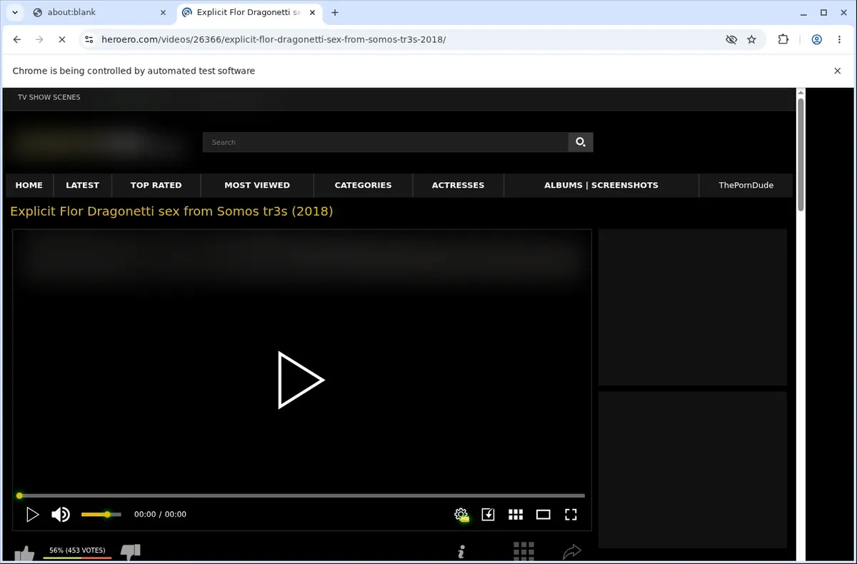 Heroero Video Downloader page open in the browser