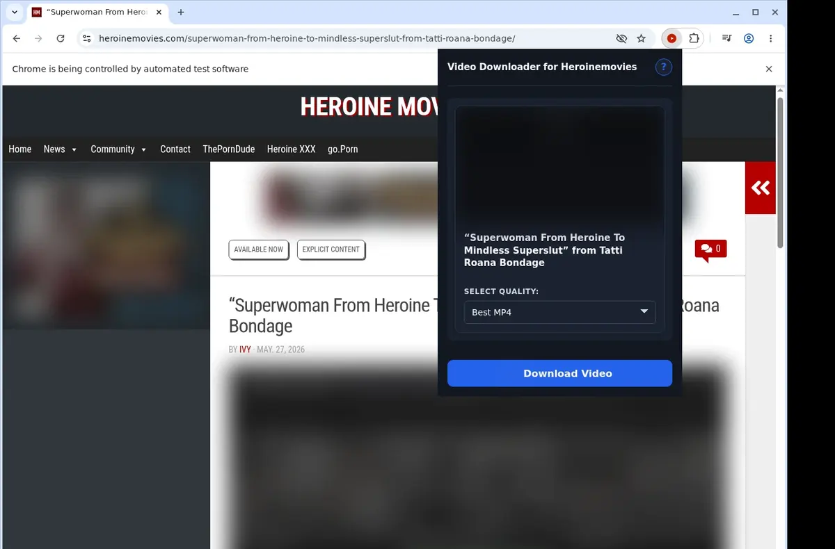 HeroineMovies Video Downloader showing detected media ready to download