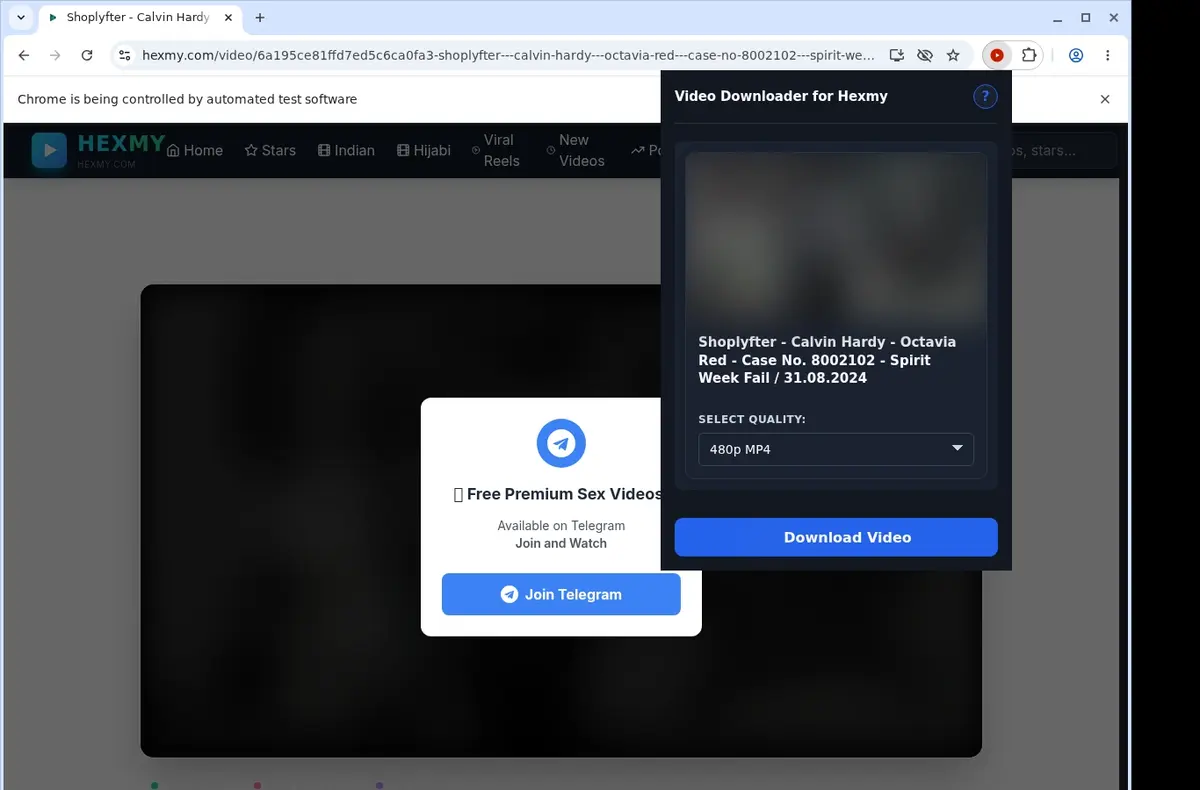 HexMy Video Downloader showing detected media ready to download