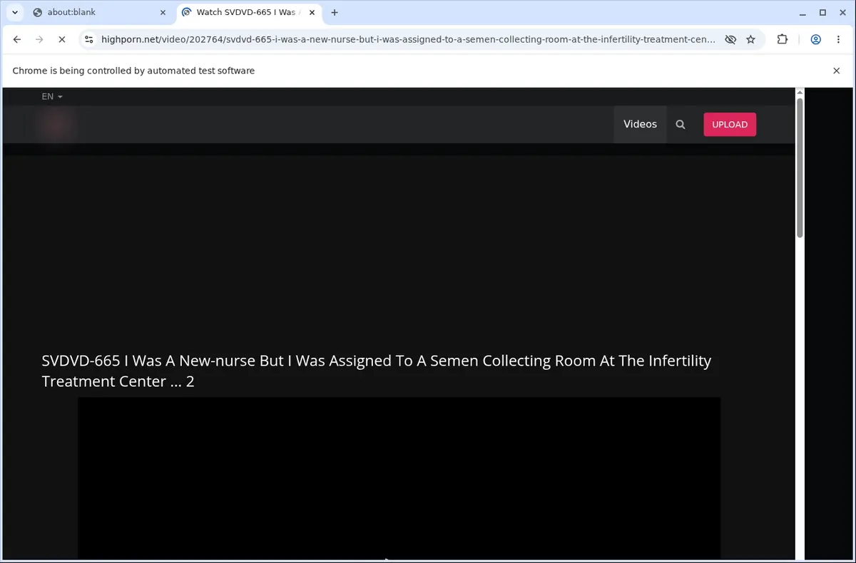 Highporn Downloader page open in the browser