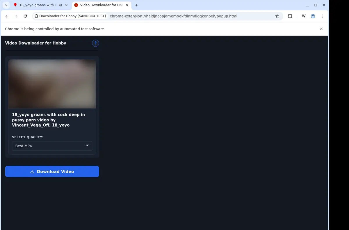 Hobby.porn Video Downloader showing detected media ready to download