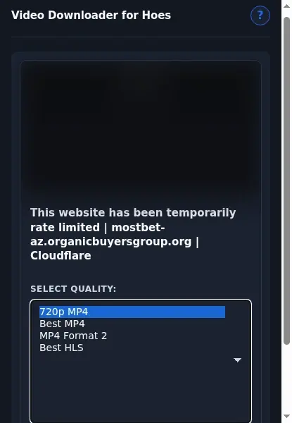 Hoes Video Downloader format dropdown options