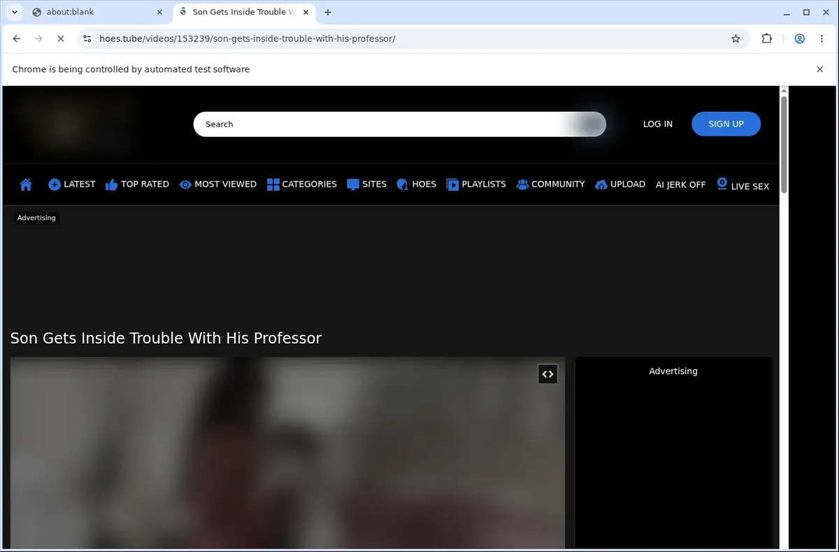 Hoes Video Downloader page open in the browser