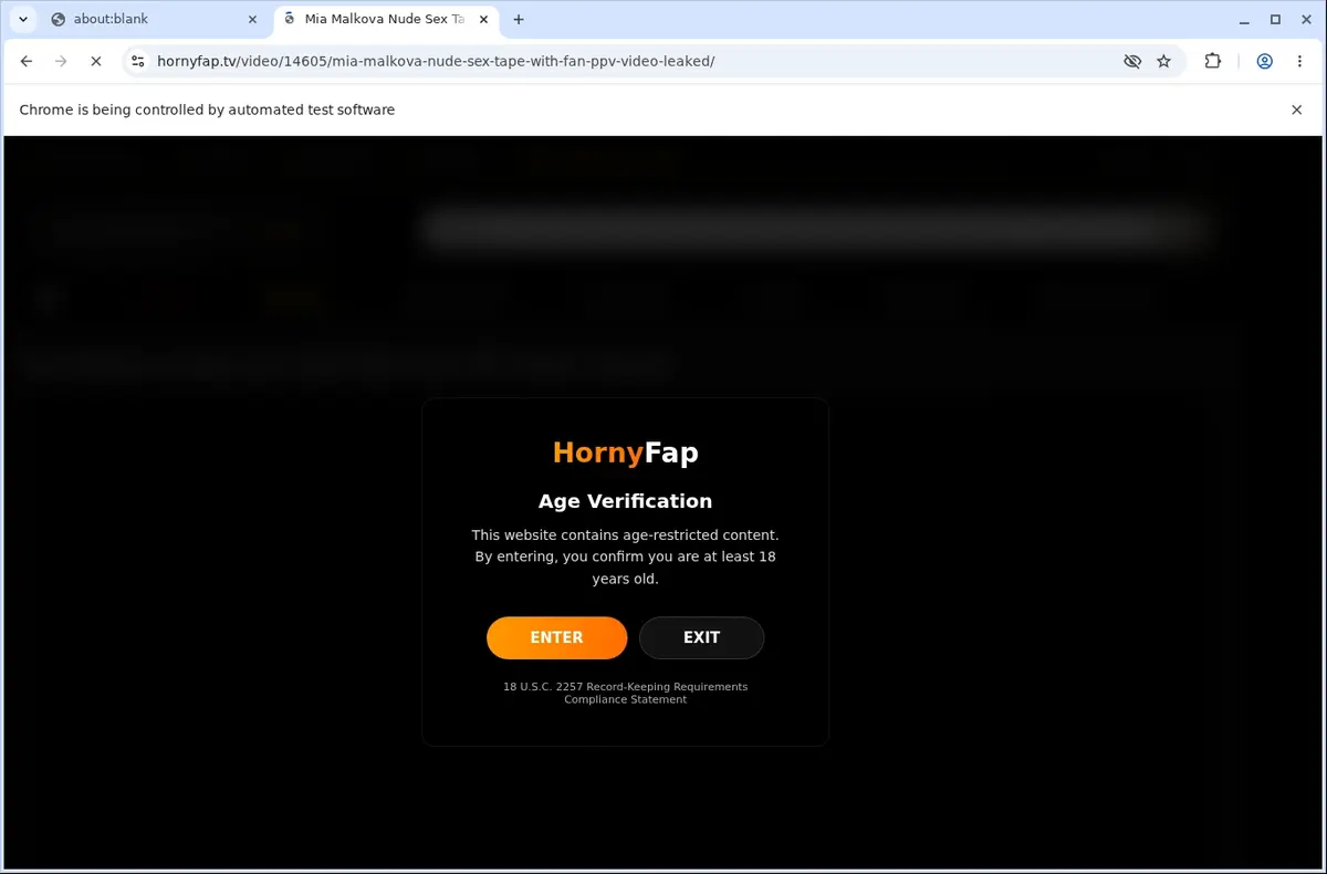 HornyFap Video Downloader page open in the browser