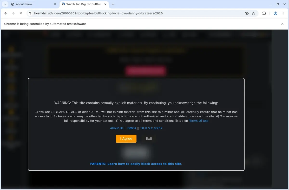 HornyHill Video Downloader page open in the browser