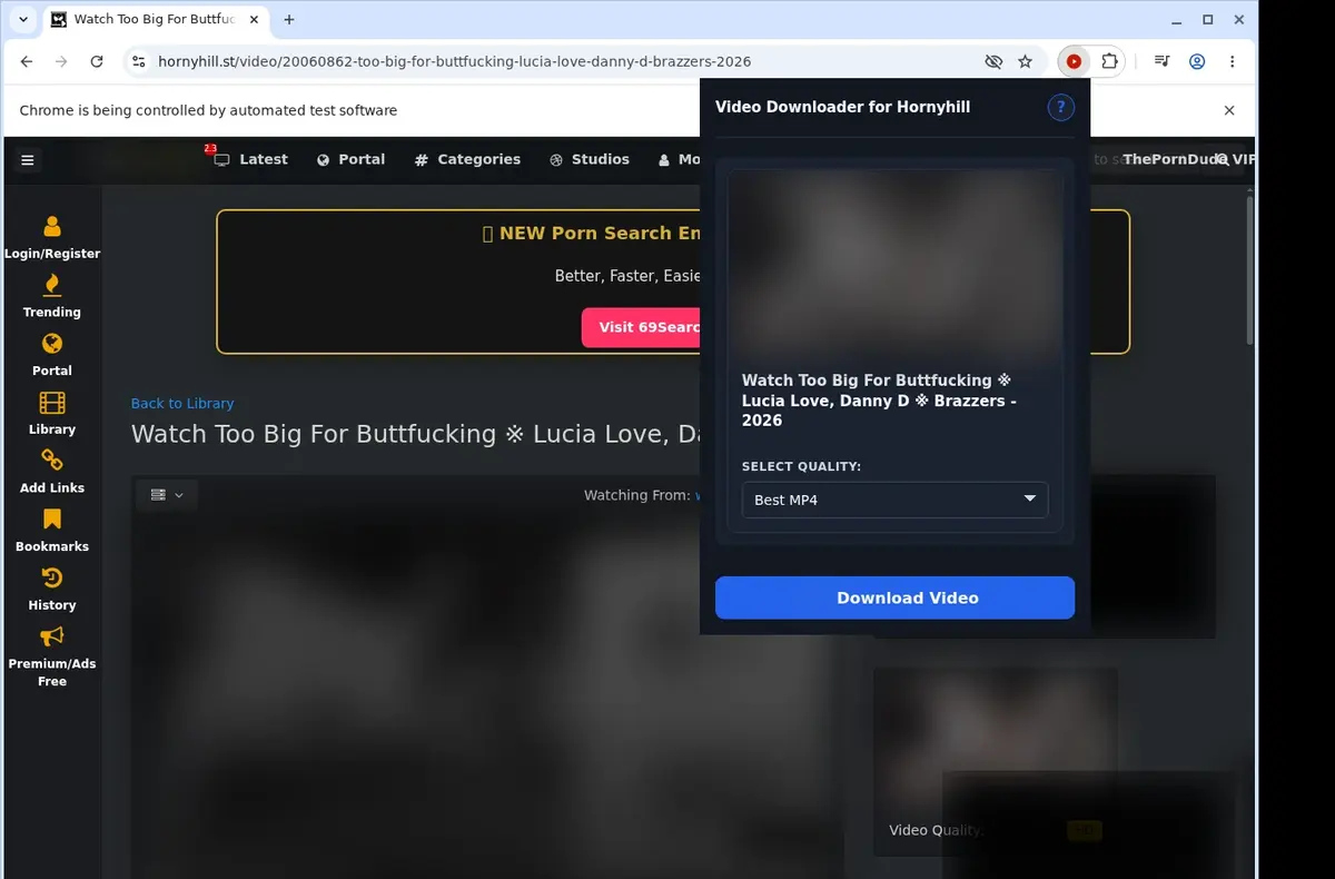 HornyHill Video Downloader showing detected media ready to download