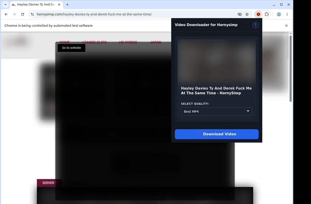 HornySimp Video Downloader showing detected media ready to download