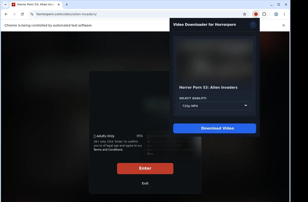 HorrorPorn Video Downloader showing detected media ready to download