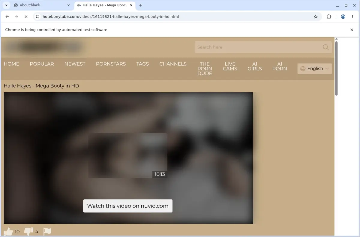 HotEbonyTube Video Downloader page open in the browser
