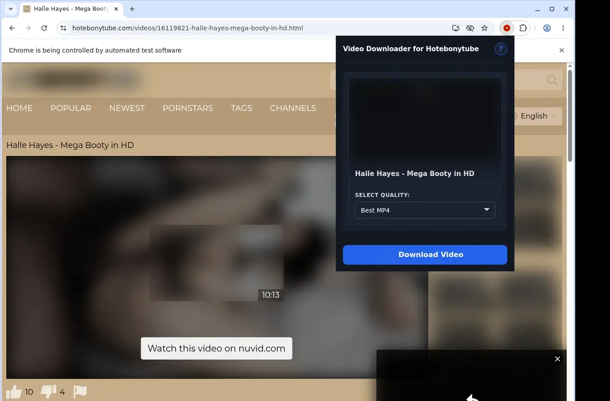 HotEbonyTube Video Downloader showing detected media ready to download