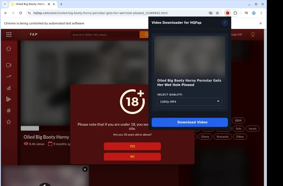 HQFap Downloader showing detected media ready to download