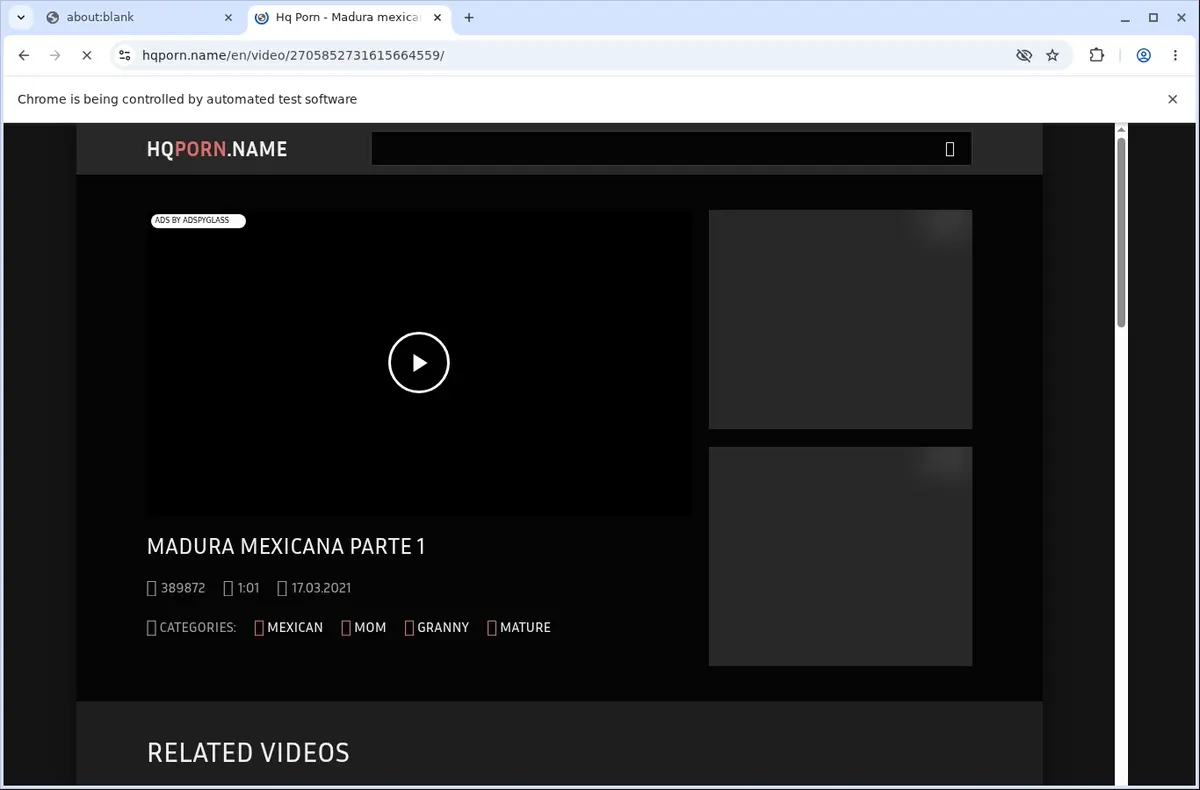 HQPorn Downloader page open in the browser