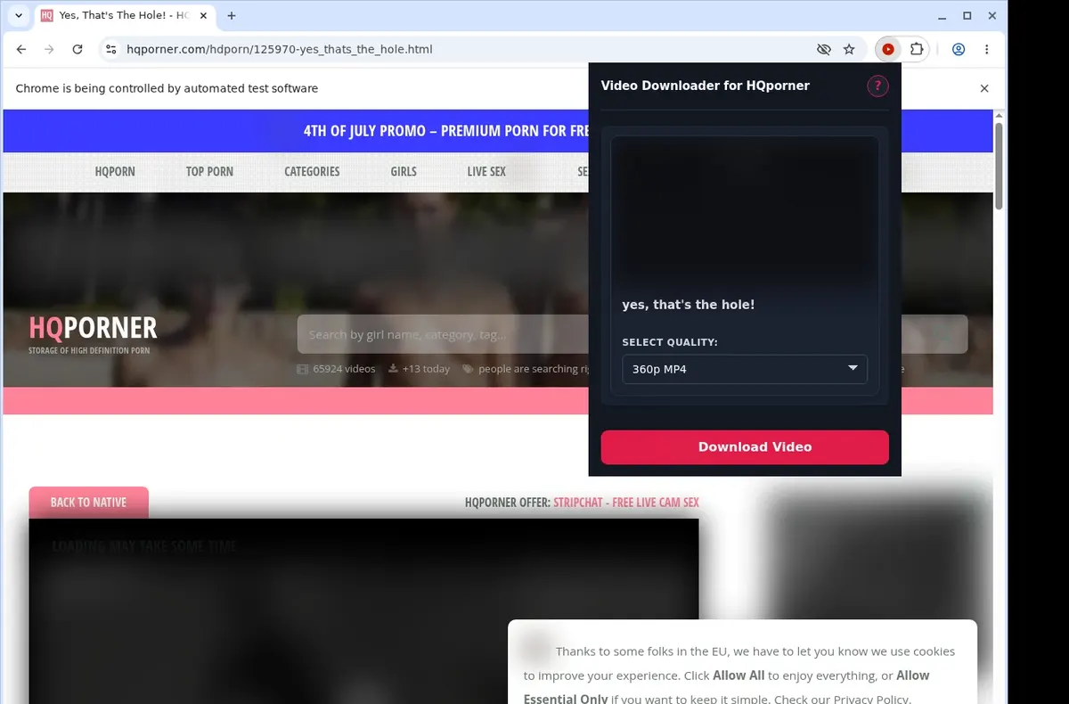 HQporner Downloader showing detected media ready to download
