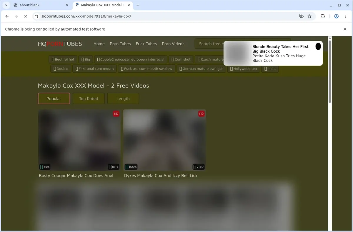 Hqporntubes Video Downloader page open in the browser