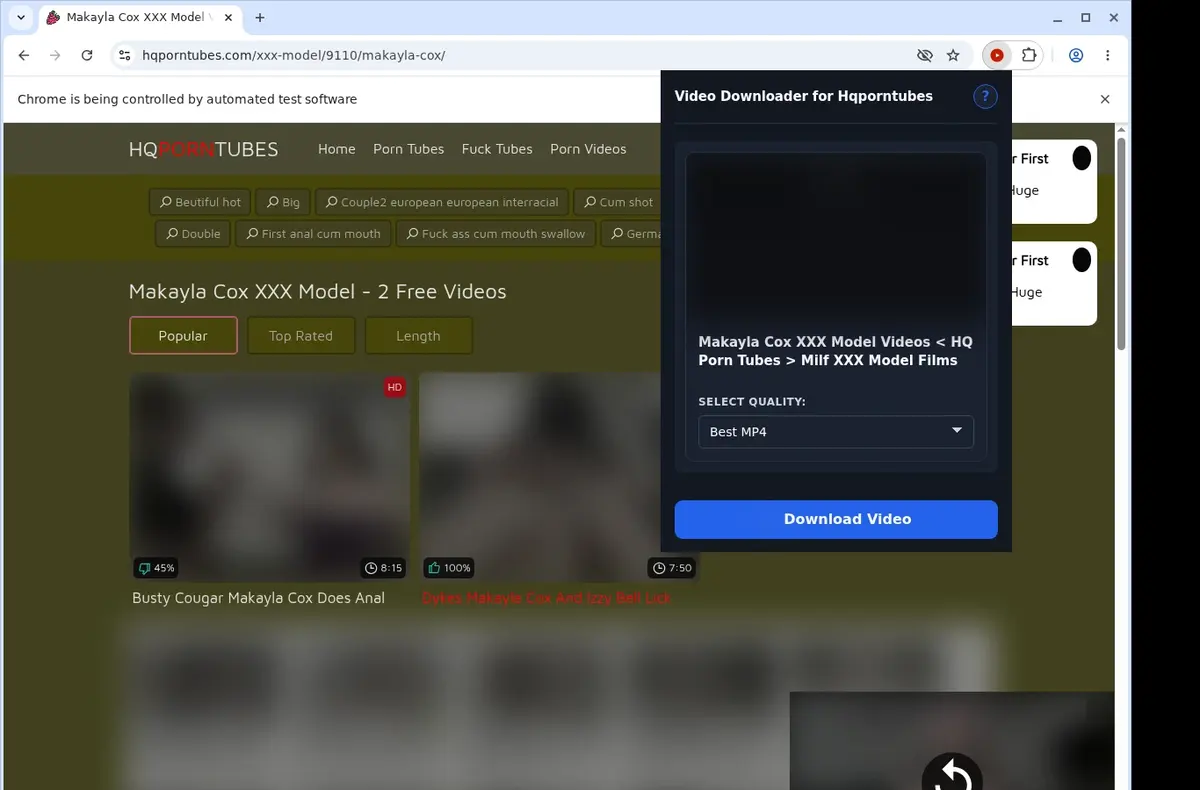 Hqporntubes Video Downloader showing detected media ready to download