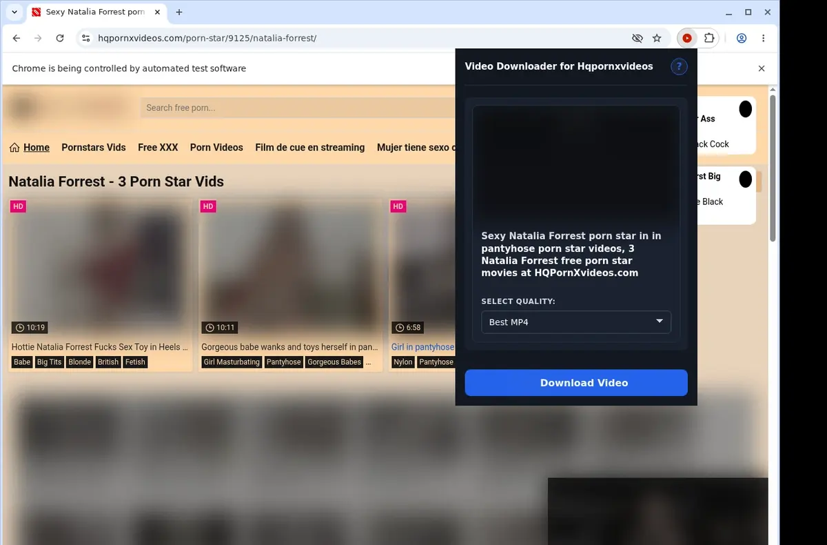 HQPornXVideos Video Downloader showing detected media ready to download