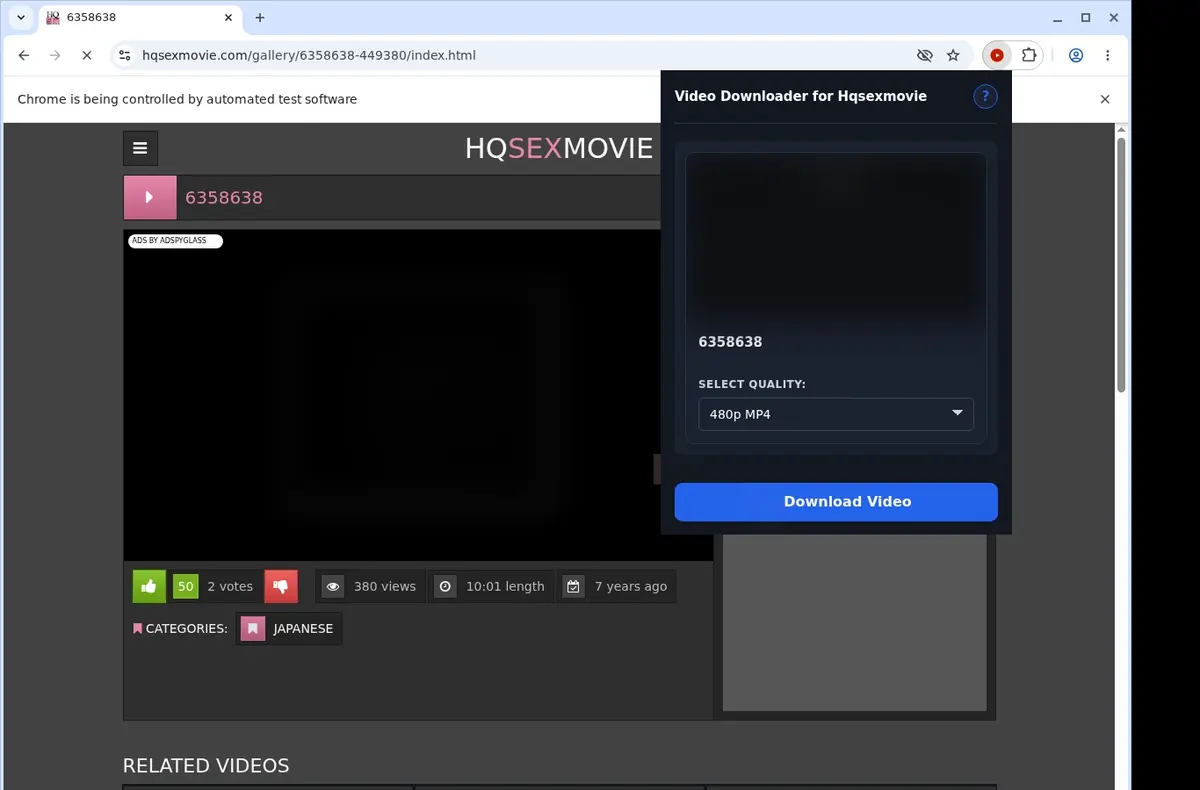 HQSexMovie Downloader showing detected media ready to download