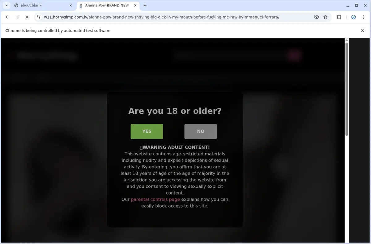 HutPorner Downloader page open in the browser