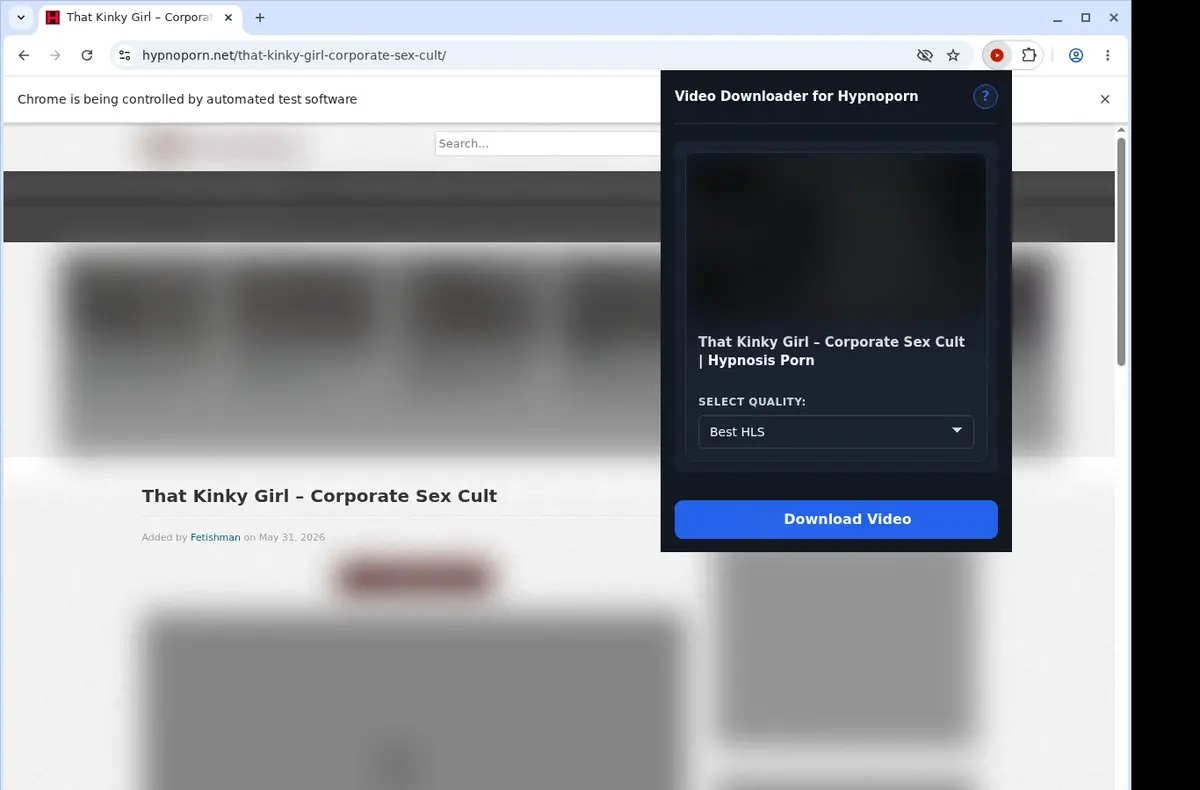 HypnoPorn Video Downloader showing detected media ready to download