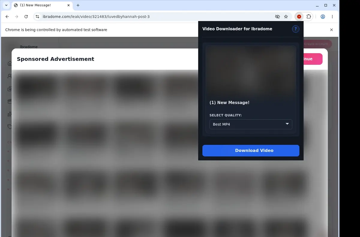 Ibradome Downloader showing detected media ready to download