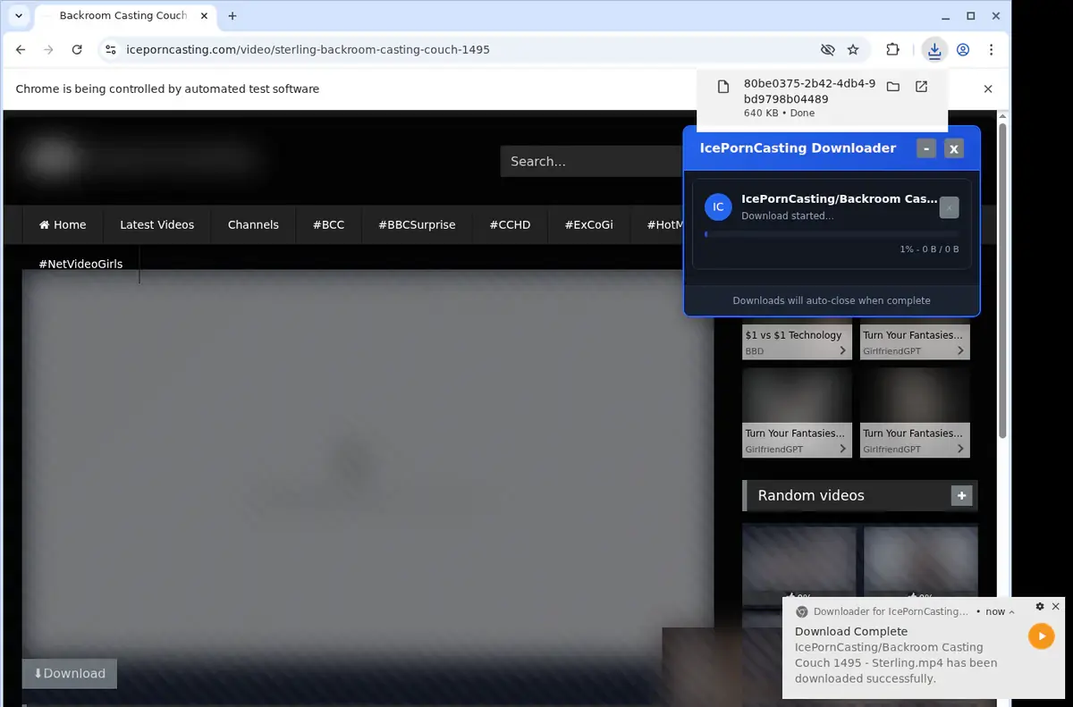 IcePornCasting Downloader page open in the browser