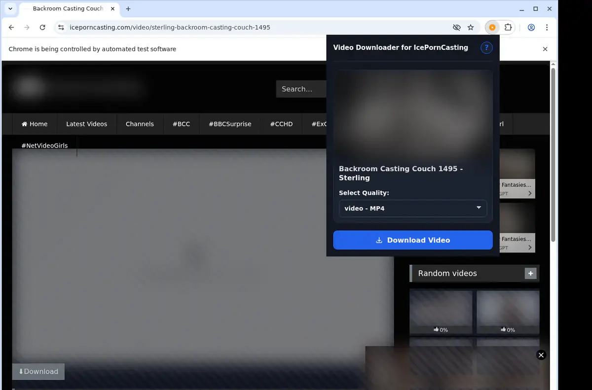 IcePornCasting Downloader showing detected media ready to download