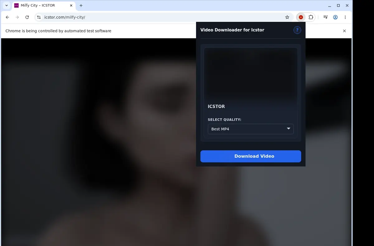ICSTOR Video Downloader showing detected media ready to download