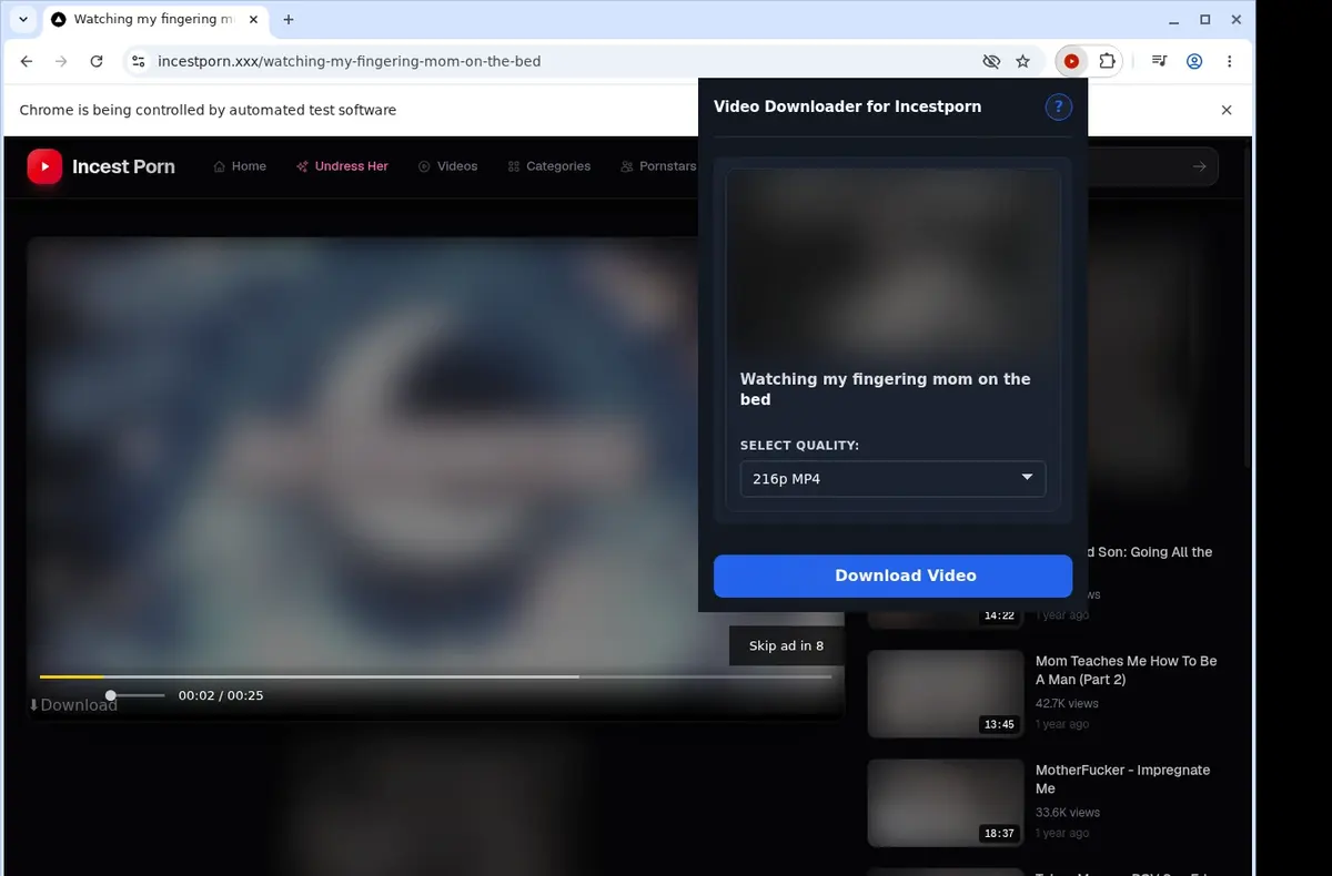IncestPorn Video Downloader showing detected media ready to download
