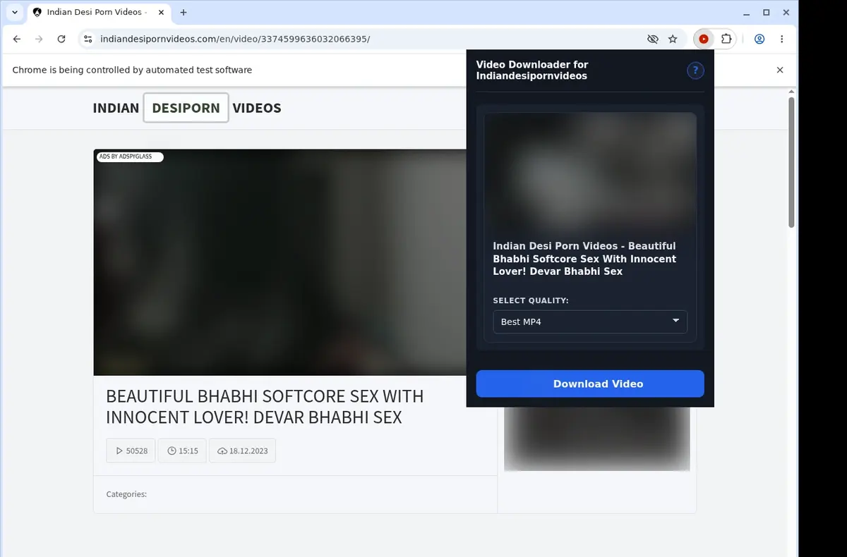 Indiandesipornvideos Downloader showing detected media ready to download