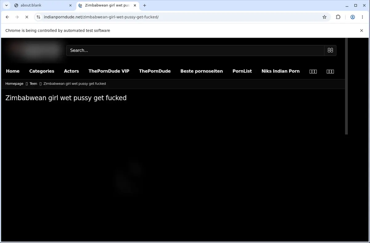 IndianPornDude Video Downloader page open in the browser