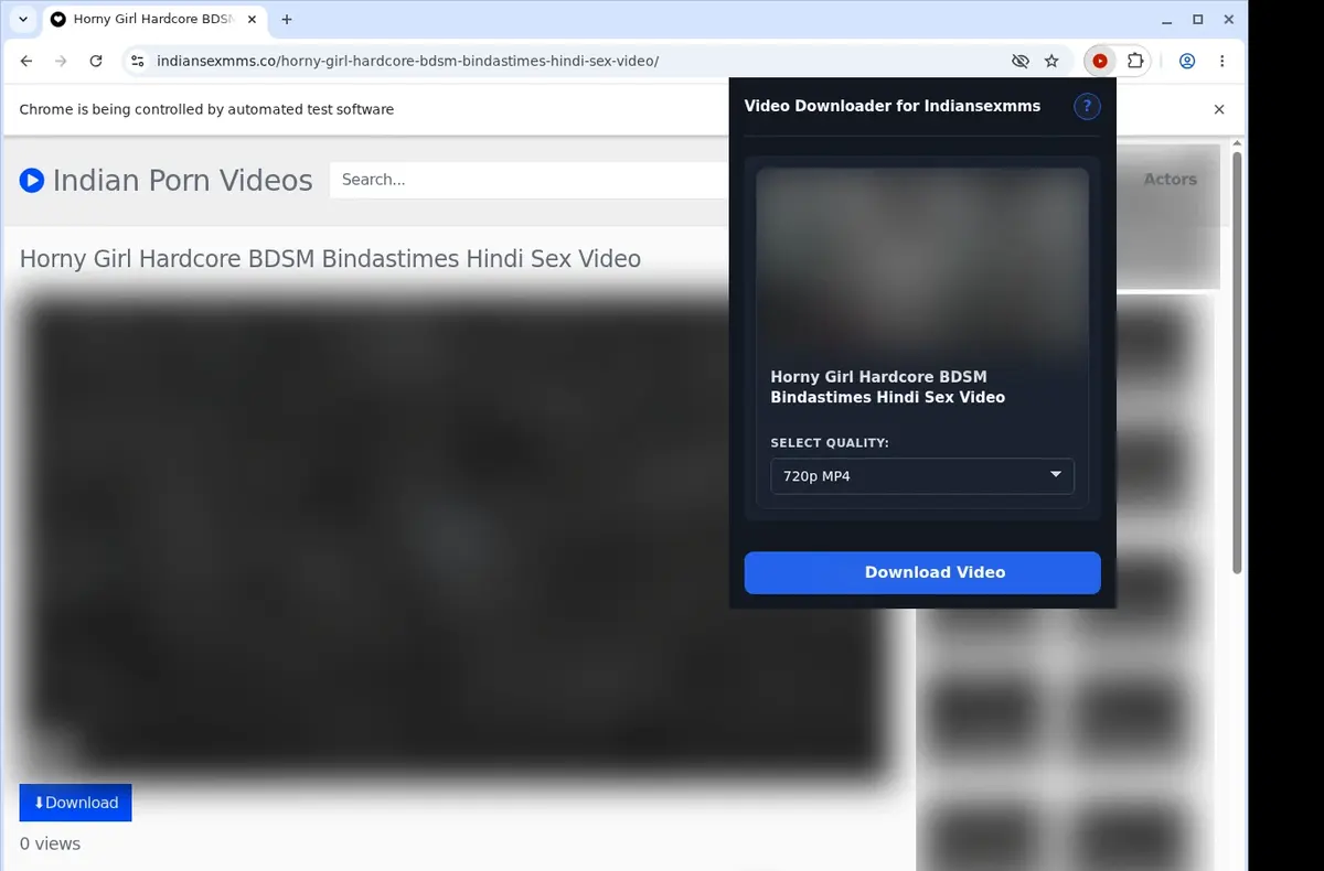 IndianSexMMS Video Downloader showing detected media ready to download