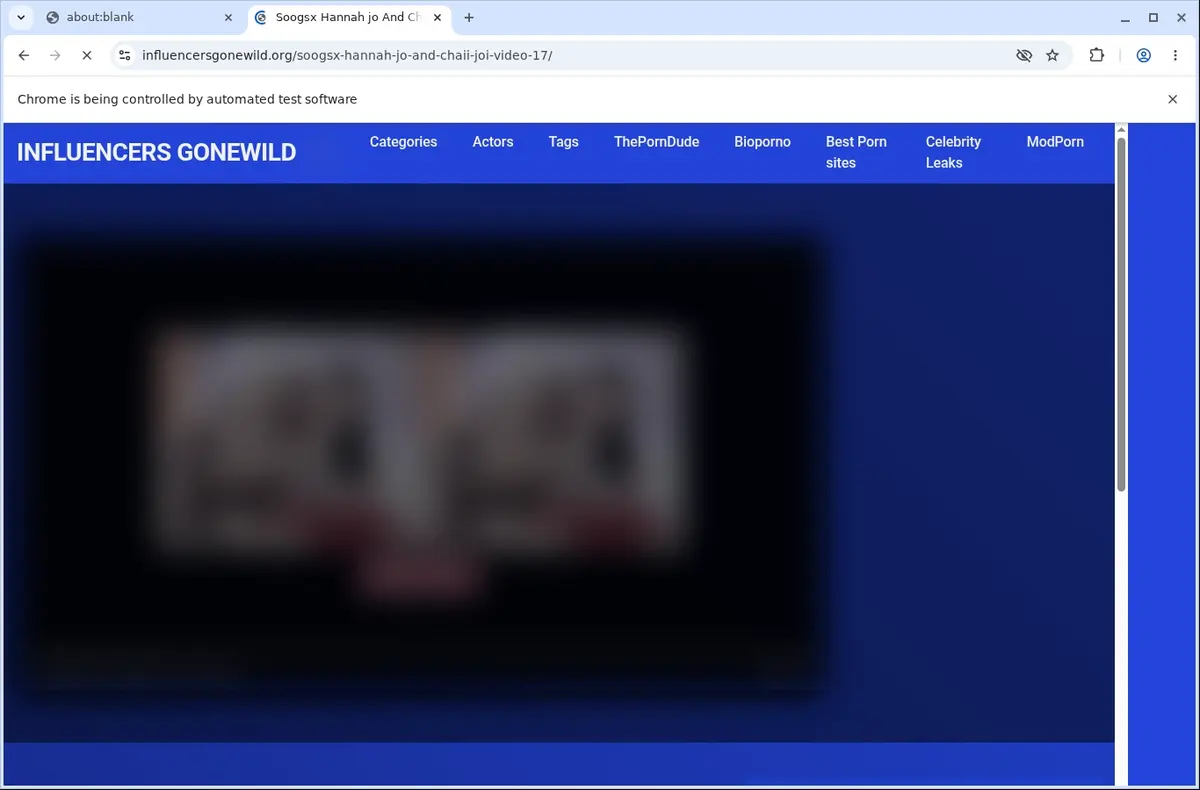 Influencersgonewild Downloader page open in the browser