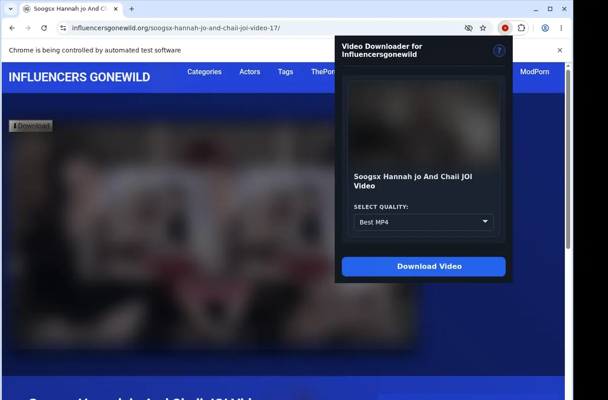 Influencersgonewild Downloader showing detected media ready to download