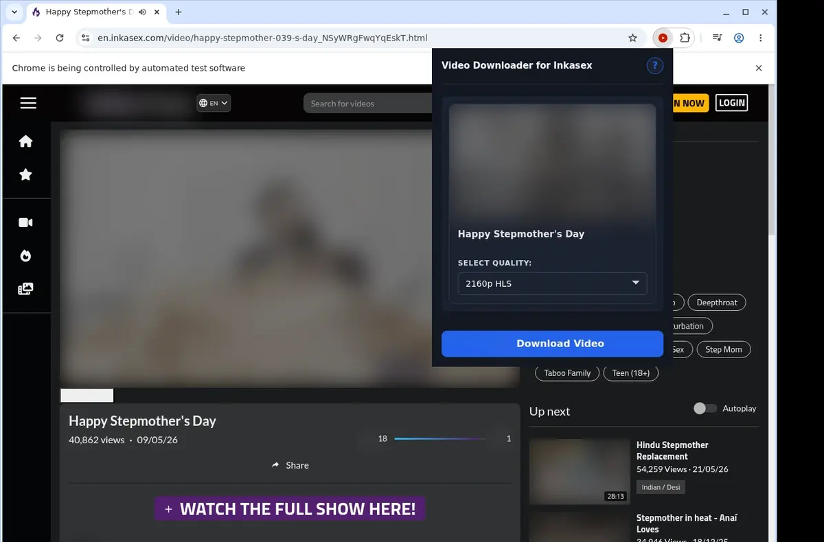 InkaSex Video Downloader showing detected media ready to download