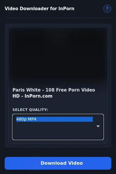InPorn Downloader format dropdown options