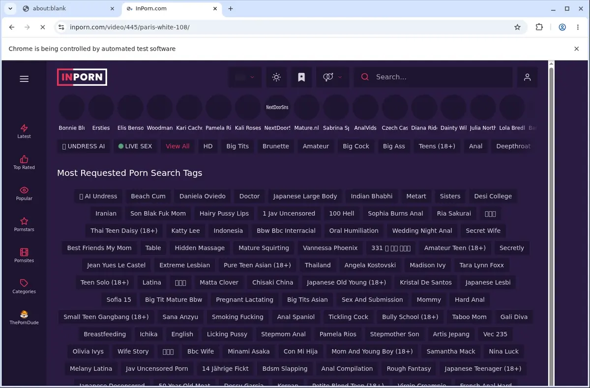InPorn Downloader page open in the browser