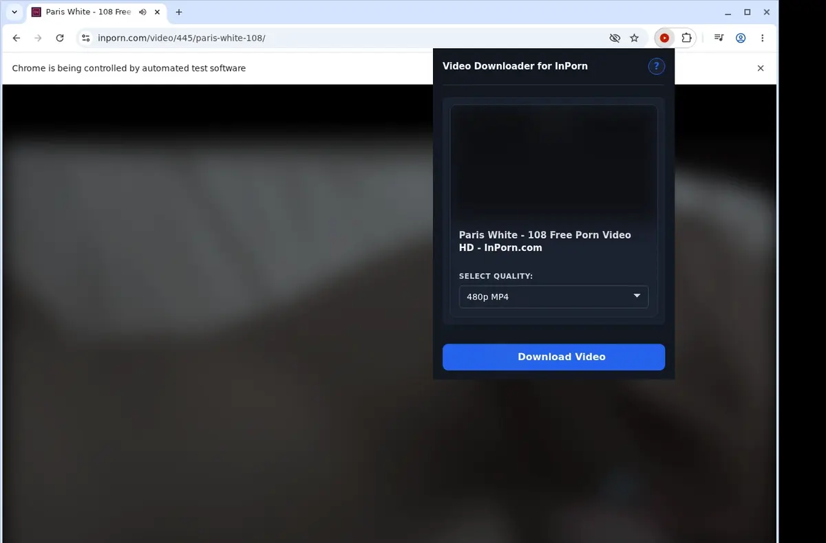 InPorn Downloader showing detected media ready to download