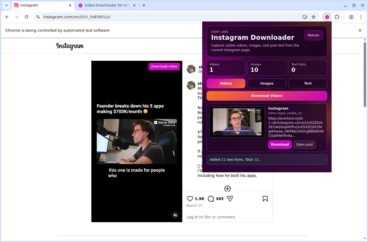 Instagram Downloader showing detected media ready to download