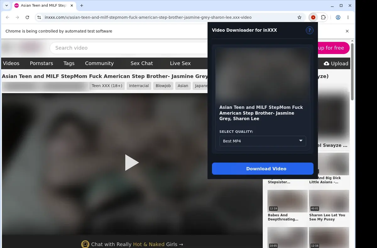 inXXX Downloader showing detected media ready to download