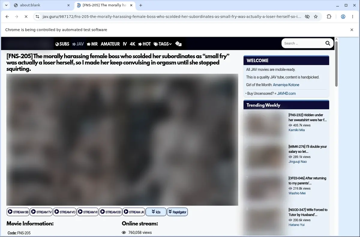 JAV Downloader page open in the browser