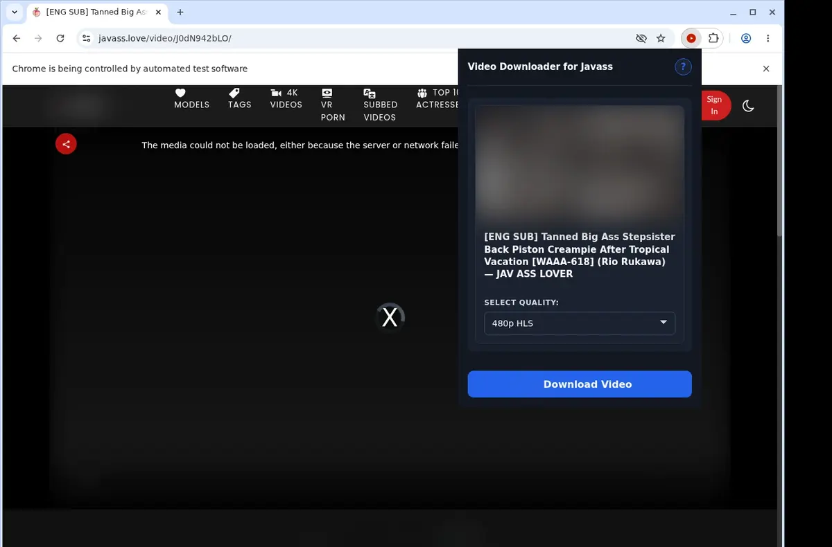 Javass Video Downloader showing detected media ready to download