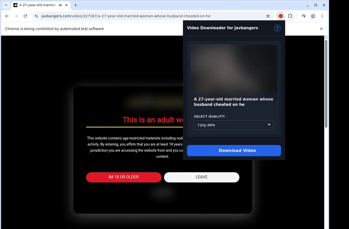 Javbangers Downloader showing detected media ready to download