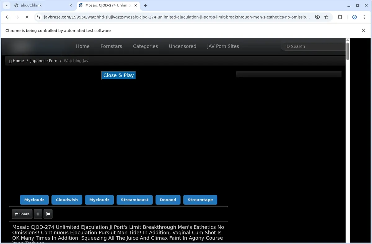 Javbraze Video Downloader page open in the browser