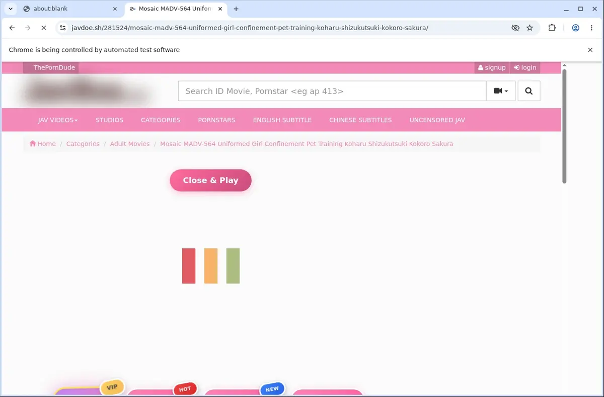 JavDoe Video Downloader page open in the browser