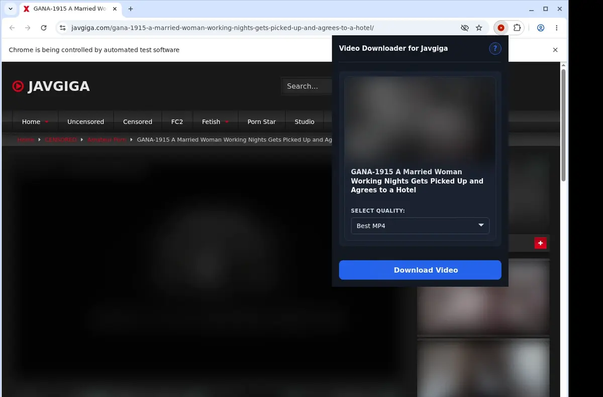 JavGiga Video Downloader showing detected media ready to download