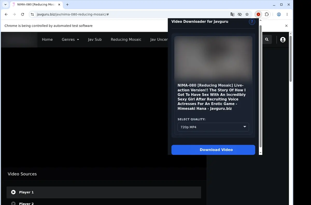 JavGuru Video Downloader showing detected media ready to download